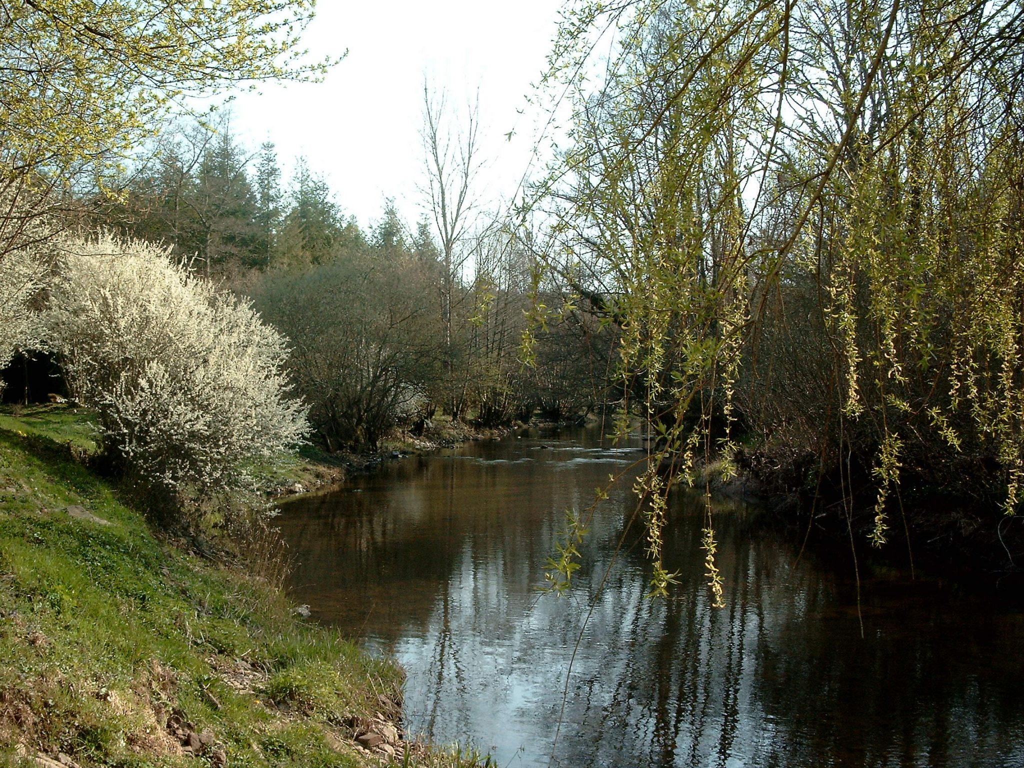 Le Serein à Montberthault