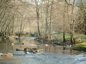 Le Serein à Montberthault