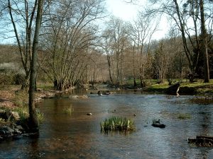 Le Serein à Montberthault